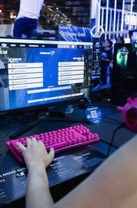momo 8Day